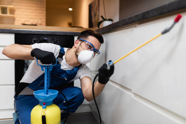 Trusted Westwego, LA Pest Control Experts