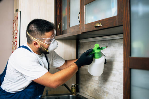 Best Affordable Pest Control Services  in Westwego, LA