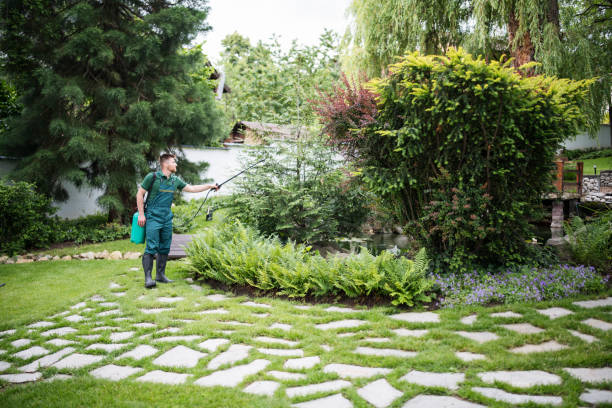 Wasp Removal Services in Westwego, LA