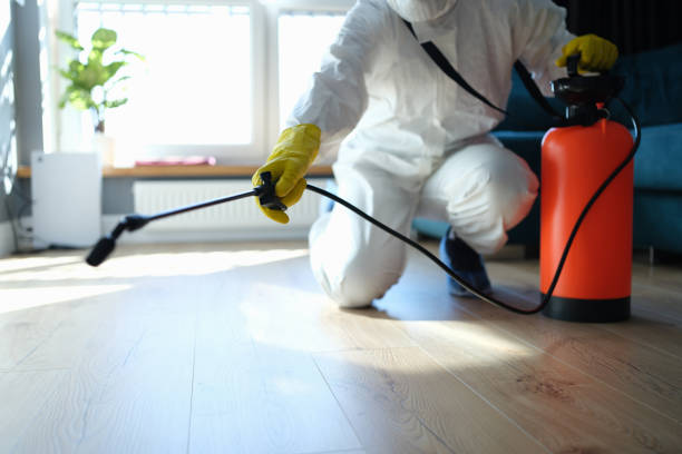 Professional Pest Control in Westwego, LA