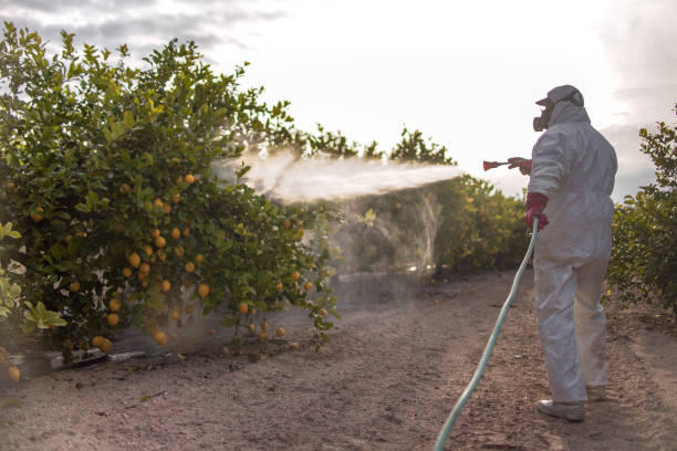 Best Pest Control for Businesses  in Westwego, LA