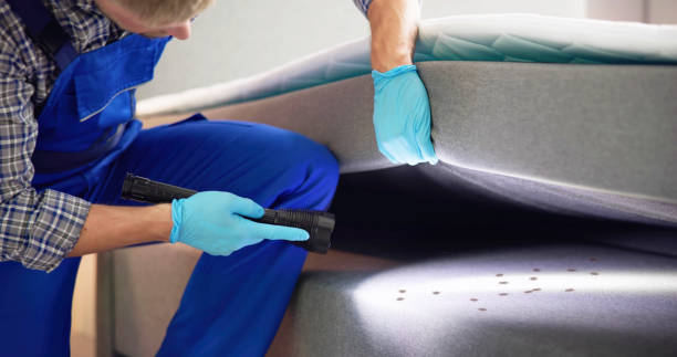 Best Termite Control Services  in Westwego, LA