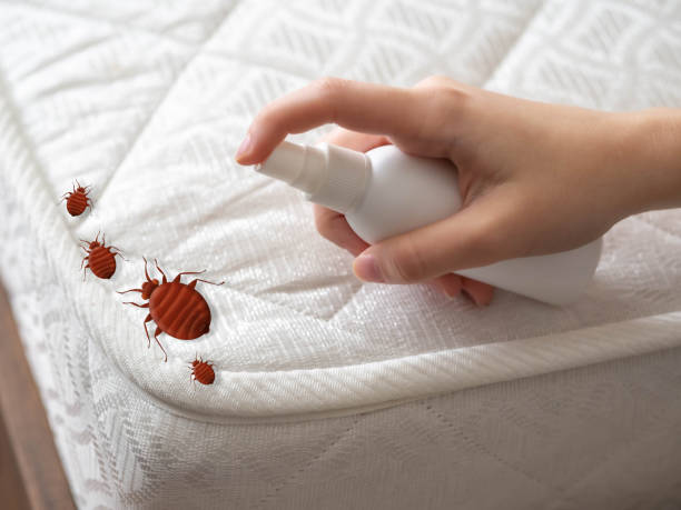 Best Residential Pest Control  in Westwego, LA