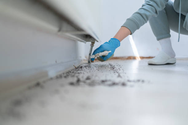Best Pest Control for Restaurants  in Westwego, LA