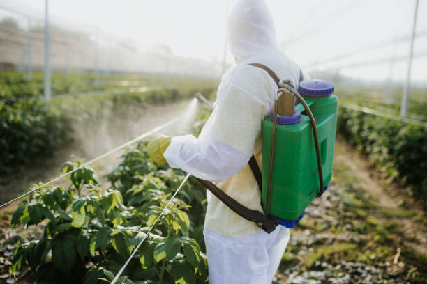 Wildlife Control Services in Westwego, LA
